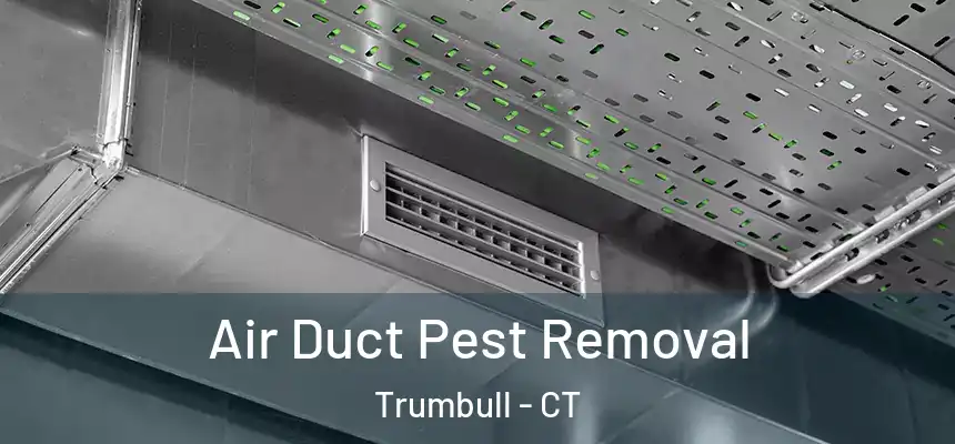  Air Duct Pest Removal Trumbull - CT