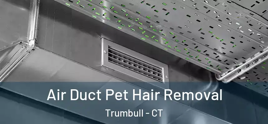  Air Duct Pet Hair Removal Trumbull - CT
