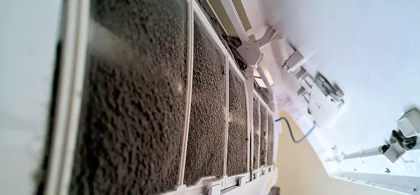 Preventive Air Duct Bacteria Removal in Trumbull