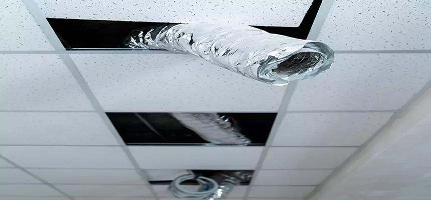 Our Air Duct Pet Hair Removal Services in Trumbull, CT