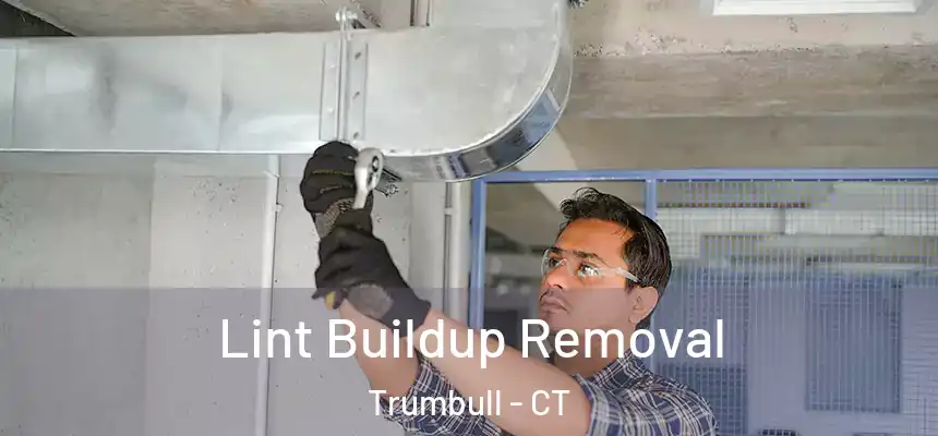  Lint Buildup Removal Trumbull - CT