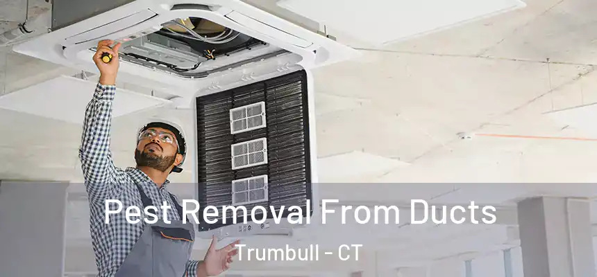  Pest Removal From Ducts Trumbull - CT