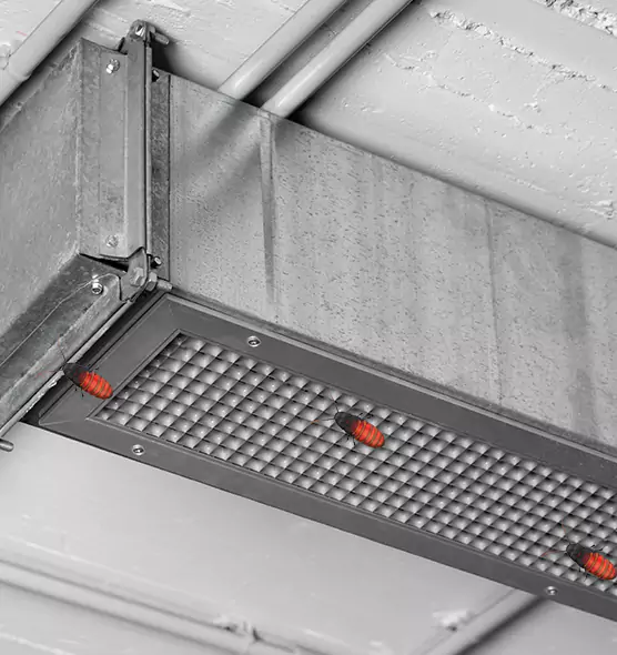 Affordable Insect Removal from Air Ducts in Trumbull, CT