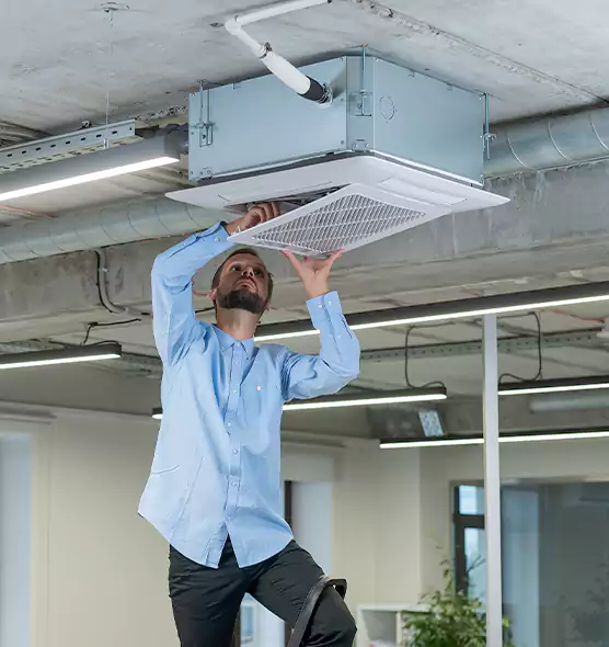 Advanced Rodent Droppings In Vents in Trumbull, CT