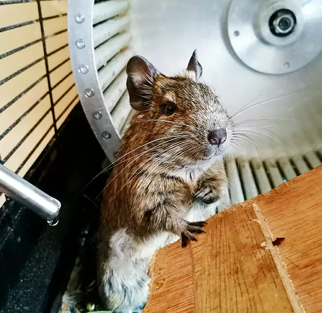 Why Homeowners & Businesses Trust Us Trumbull, CT?